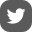 social-icon